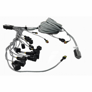 Extension de faisceau de câbles automobile mâle à femelle personnalisée pour machines automobiles et d'ingénierie